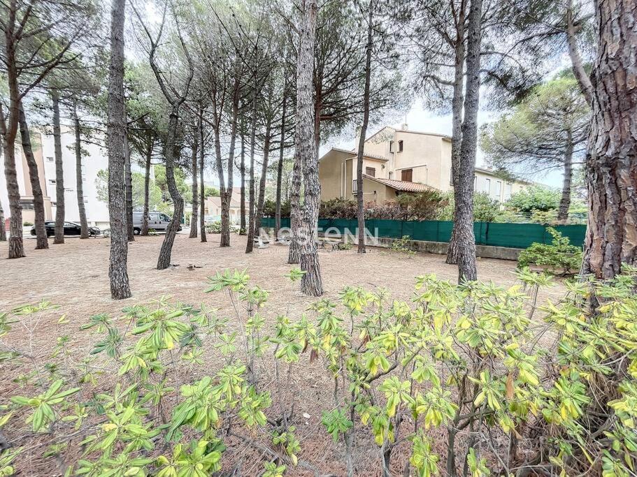 2980-Appartement 1 Ch A 100M De La Mer Argelès-sur-Mer Exteriér fotografie