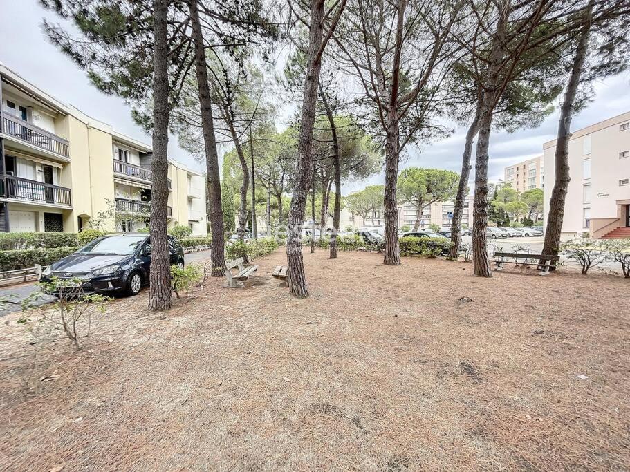 2980-Appartement 1 Ch A 100M De La Mer Argelès-sur-Mer Exteriér fotografie